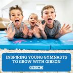 Gibson Engage Gymnastics Games